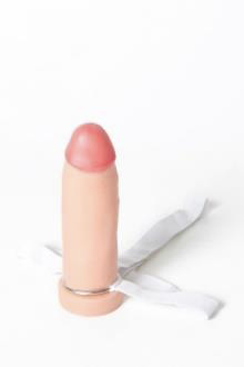 Protesis Normal
15x4cm